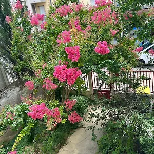  Appartement F3 Au Grenier D'une Maison